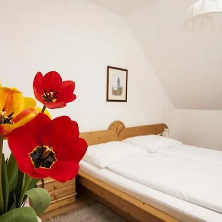 بيت ضيافة Winzerhof - Gaestehaus Stoeger 4*