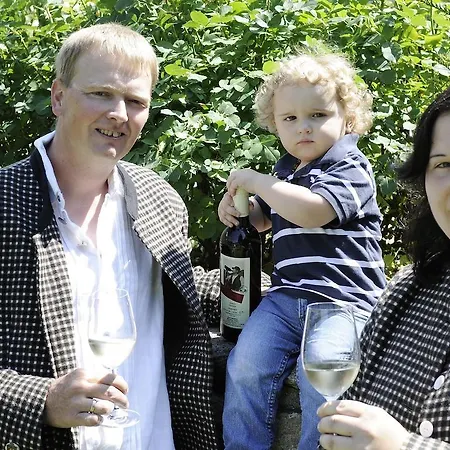 בית הארחה Winzerhof - Gaestehaus Stoeger דורנשטיין