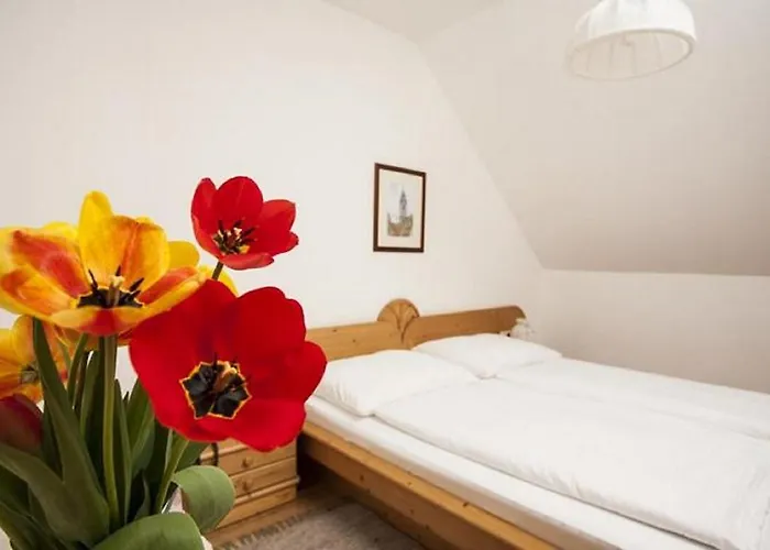 בית הארחה Winzerhof - Gaestehaus Stoeger 4*