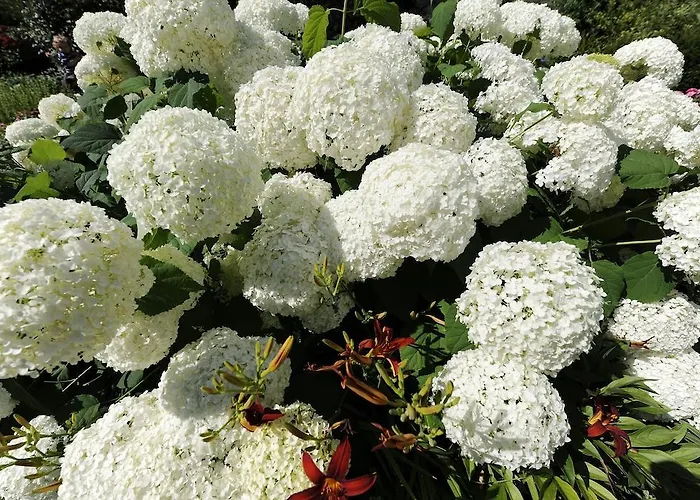 Konukevi Winzerhof - Gaestehaus Stoeger Dürnstein