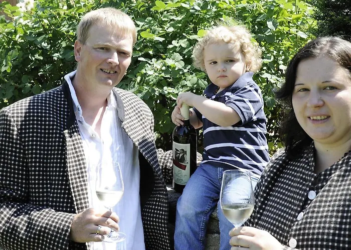 Konukevi Winzerhof - Gaestehaus Stoeger Dürnstein